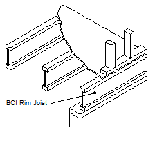 BCI_Rim_Parallel.png